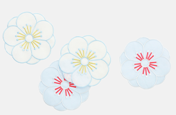 Plum Blossom Organza Coaster
